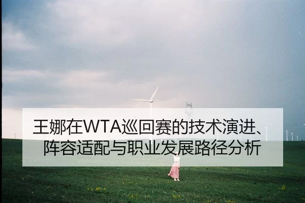 王娜在WTA巡回赛的技术演进、阵容适配与职业发展路径分析