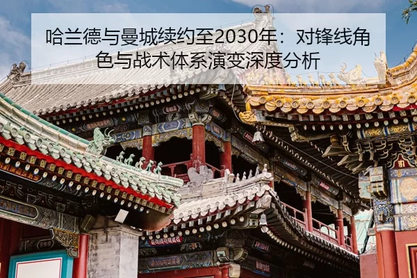 ha-lan-de-yu-man-cheng-xu-yue-zhi-nian-dui-feng-xian-jue-se-yu-zhan-shu-ti-xi-yan-bian-shen-du-fen-xi-2-273.jpg